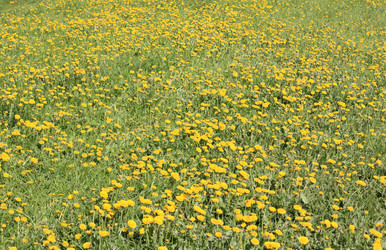 Similar image 21444860