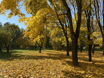 Similar image 21445123