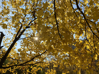 Similar image 21445890