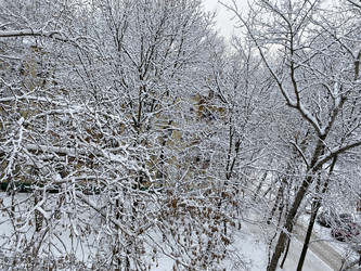 Similar image 21446137