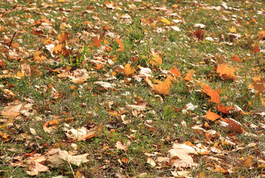 Similar image 21446138