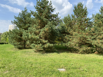 Similar image 21447457