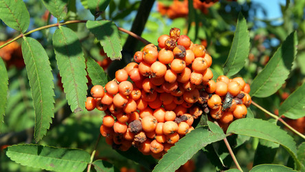 Similar image 21436978