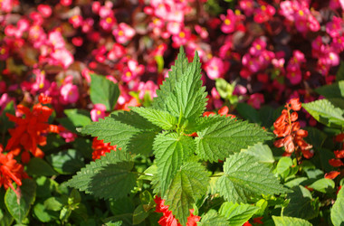 Similar image 21447469