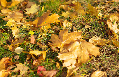 Similar image 21447470