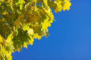 Similar image 21447471