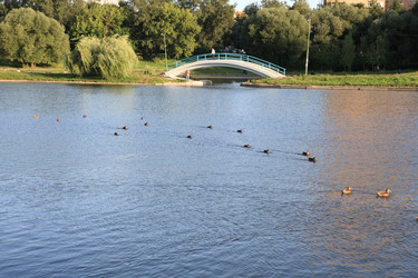 Similar image 21447475