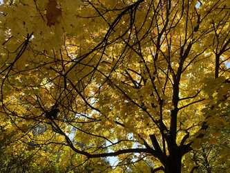 Similar image 21447476