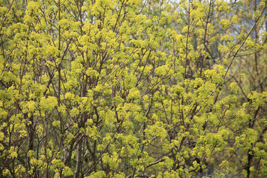 Similar image 21448528