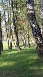 Similar image 21456634