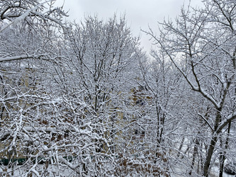 Similar image 21456635