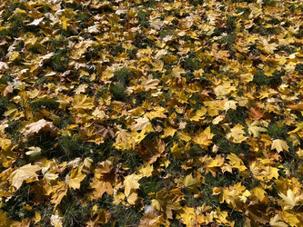 Similar image 21456637