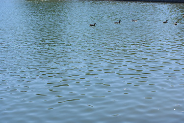 Similar image 21456639