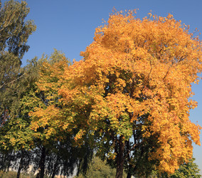 Similar image 21456640