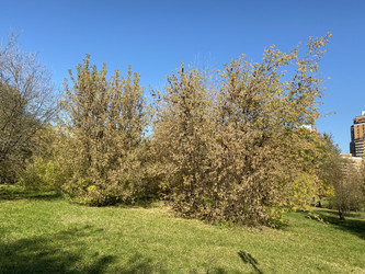 Similar image 21456643