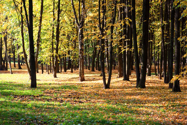 Similar image 21456645