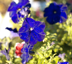 Similar image 21444367