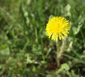 Similar image 21444883