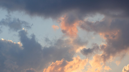 Similar image 21447484