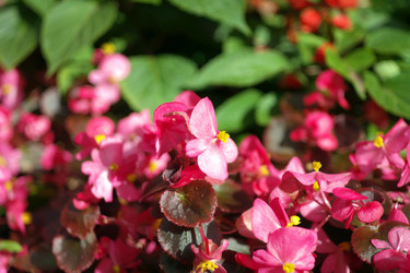 Similar image 21456666