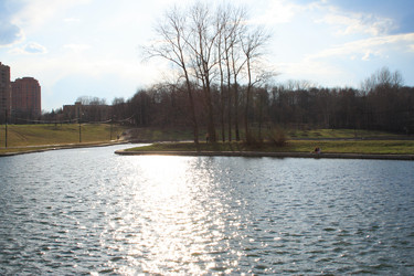 Similar image 21456668