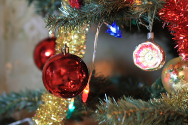 Similar image 21436849