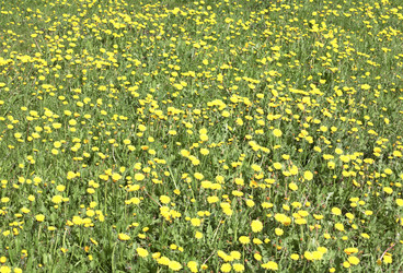 Similar image 21443225