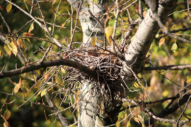 Similar image 21443496