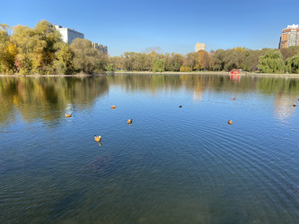 Similar image 21443673