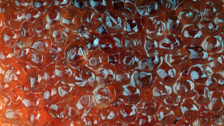 Similar image 21444350