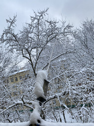 Similar image 21444892