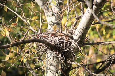 Similar image 21447486