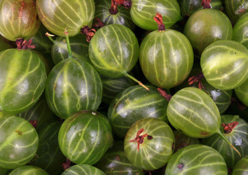 Similar image 21448824