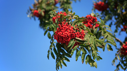 Similar image 21456674