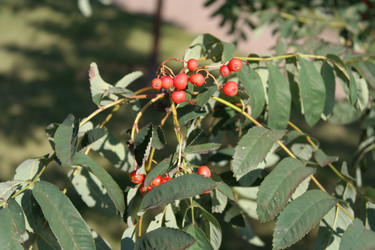 Similar image 21456680