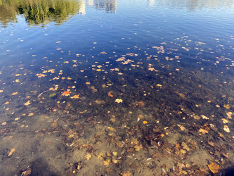 Similar image 21456683