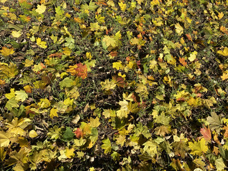 Similar image 21436850