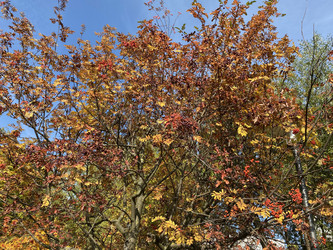 Similar image 21437002