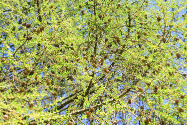 Similar image 21443676