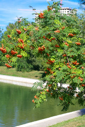 Similar image 21443678