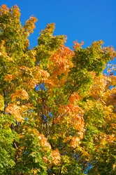 Similar image 21443679