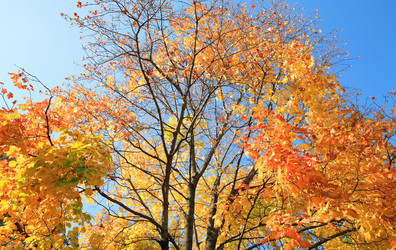 Similar image 21443682