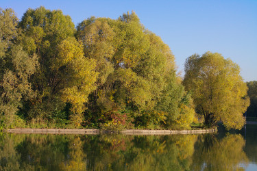 Similar image 21443683