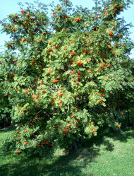 Similar image 21444329