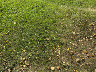 Similar image 21444391