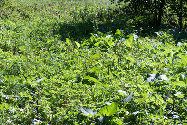 Similar image 21444411