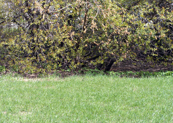 Similar image 21444898