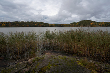 Similar image 21467001