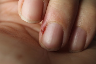 Similar image 21469752