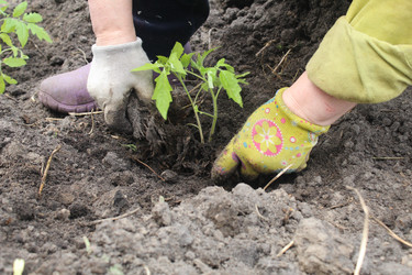 Similar image 21469753